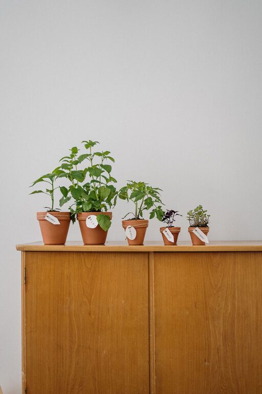 resized_33_api